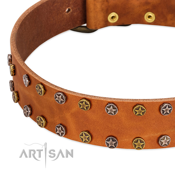 Walking leather dog collar with extraordinary adornments