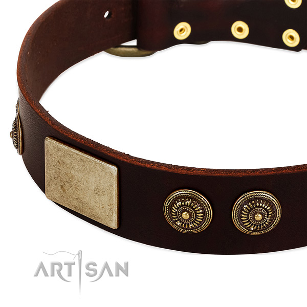 Durable D-ring on genuine leather dog collar for your four-legged friend