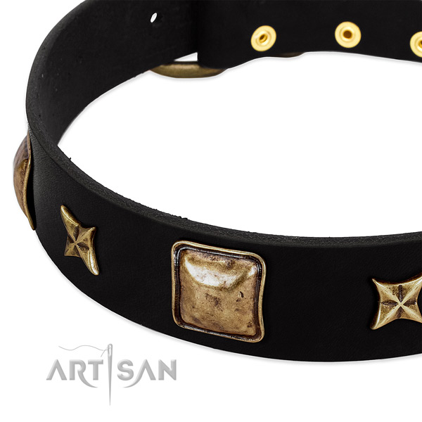Leather dog collar with incredible embellishments