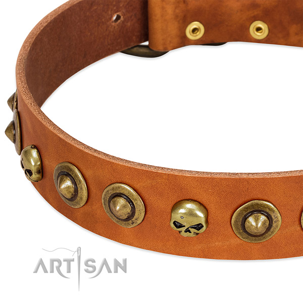 Unusual embellishments on full grain genuine leather collar for your canine