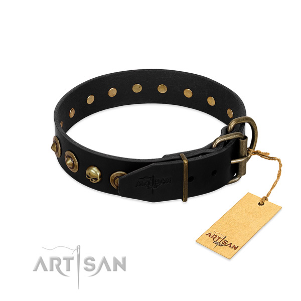 Full grain natural leather collar with incredible studs for your canine