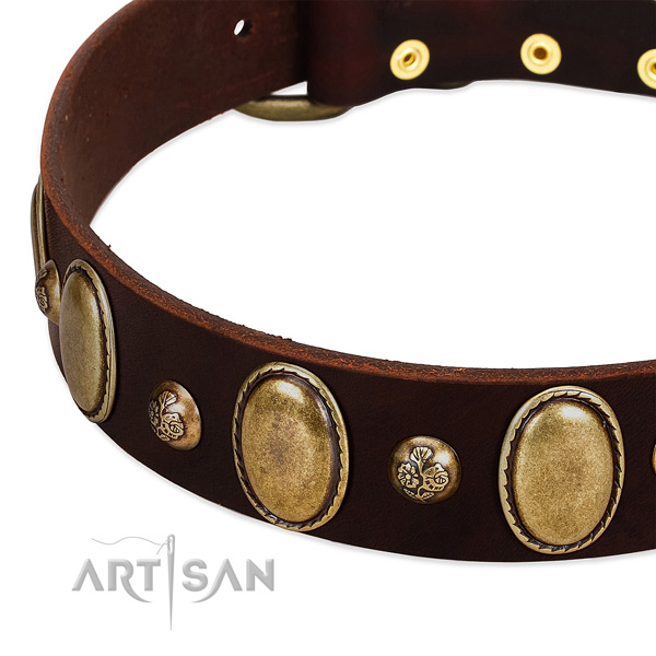 Full grain natural leather dog collar with remarkable embellishments
