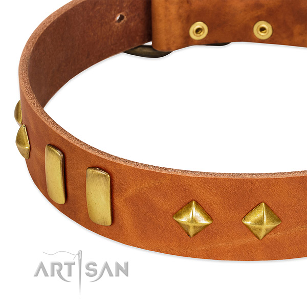 Fancy walking natural leather dog collar with unusual adornments