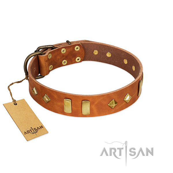 Easy wearing flexible full grain leather dog collar with adornments