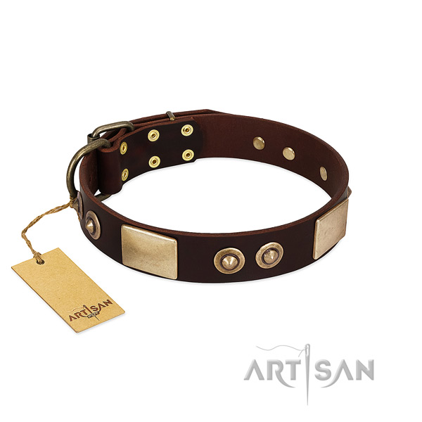 Adjustable genuine leather dog collar for walking your canine