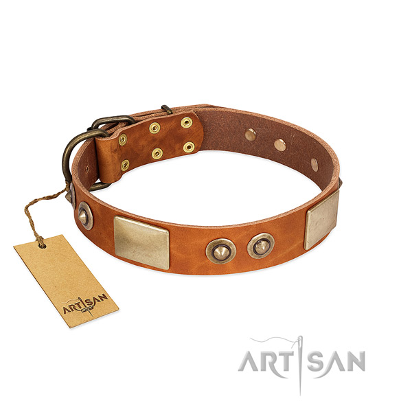 Adjustable leather dog collar for basic training your doggie
