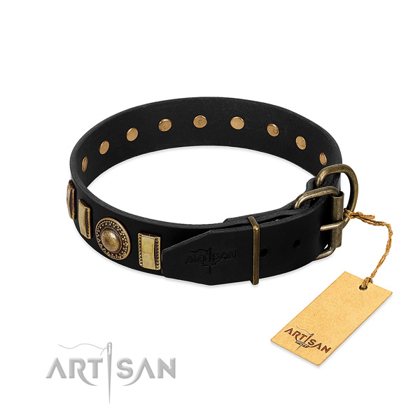 Flexible full grain natural leather dog collar with adornments
