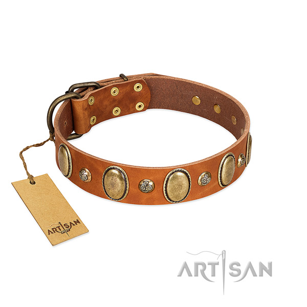 Genuine leather dog collar of soft material with amazing studs