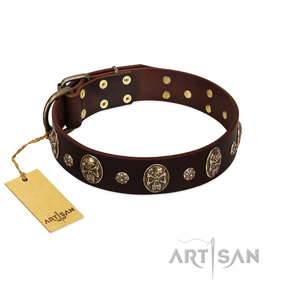 Perfect fit full grain natural leather collar for your doggie