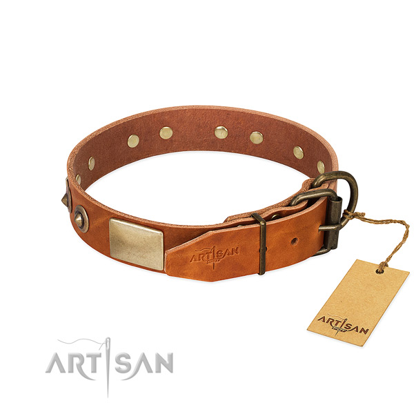 Durable embellishments on stylish walking dog collar