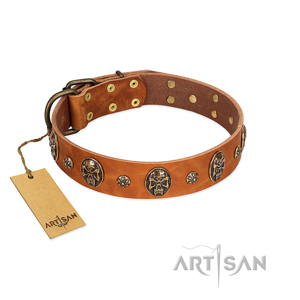 Incredible natural genuine leather collar for your dog