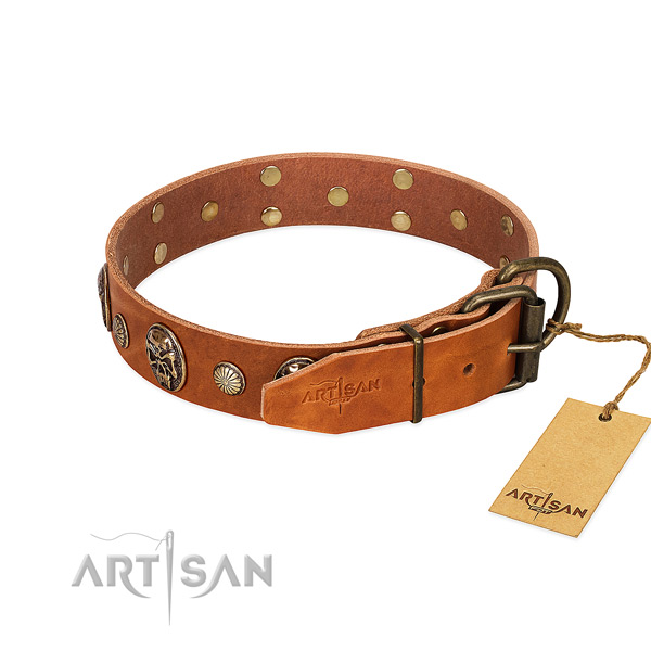Reliable traditional buckle on full grain genuine leather collar for fancy walking your pet