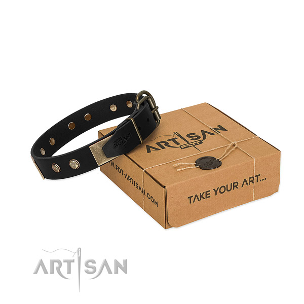 Rust-proof adornments on dog collar for easy wearing