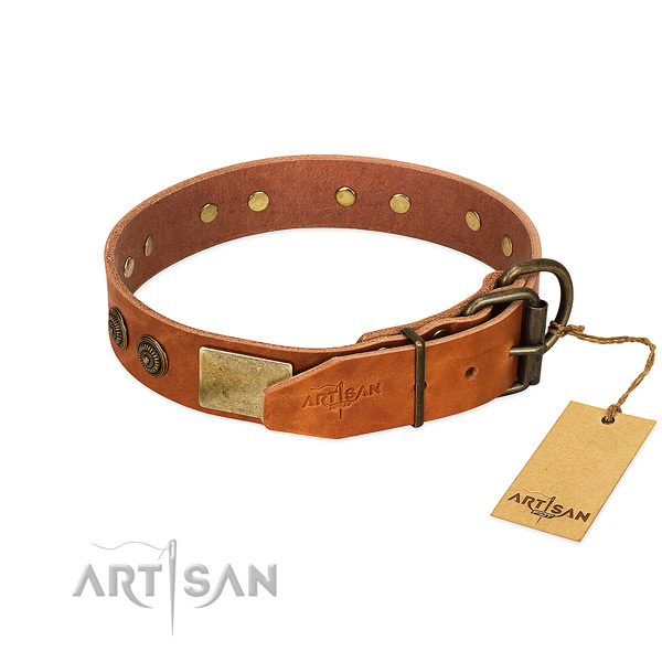 Corrosion proof D-ring on genuine leather collar for everyday walking your four-legged friend