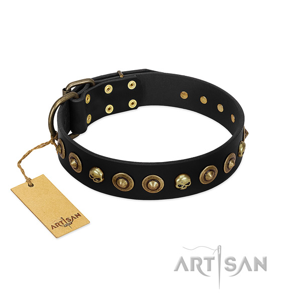 Full grain leather collar with significant embellishments for your doggie