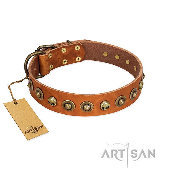 Natural leather collar with exceptional studs for your dog