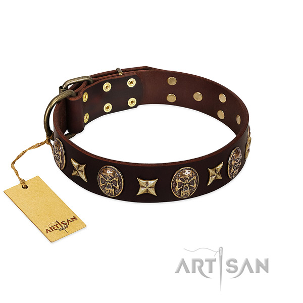 Stunning full grain natural leather collar for your dog