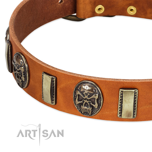 Durable hardware on leather dog collar for your canine