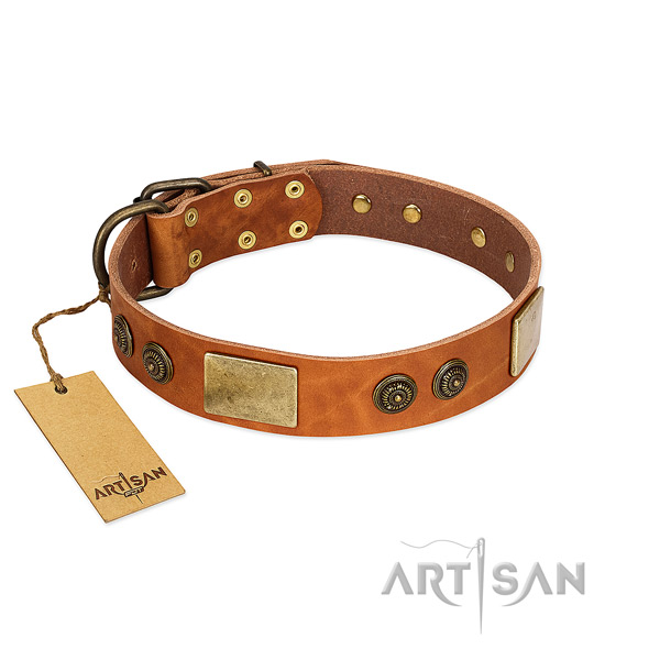 Fashionable genuine leather dog collar for easy wearing