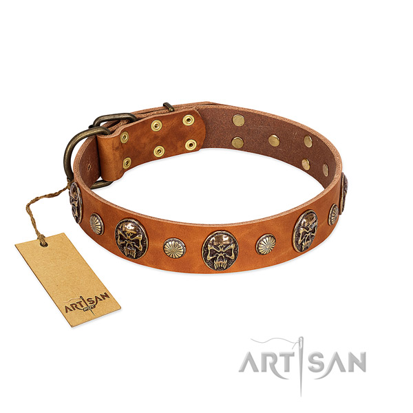 Studded genuine leather dog collar for stylish walking