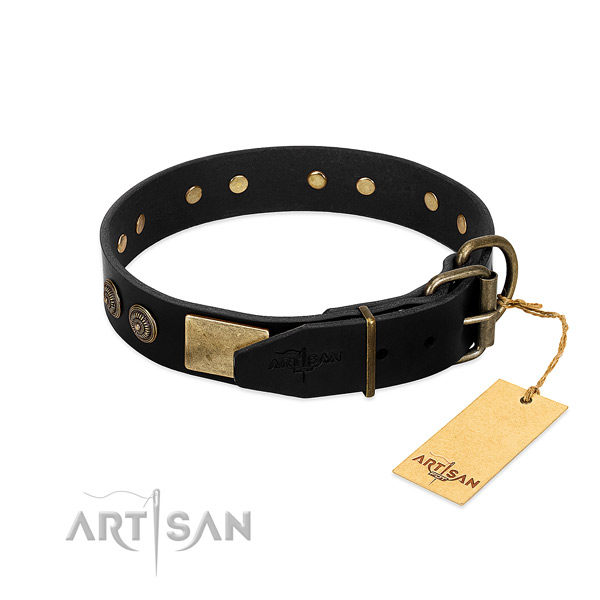 Durable adornments on full grain genuine leather dog collar for your four-legged friend
