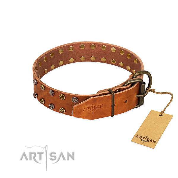 Stylish walking leather dog collar with exceptional embellishments