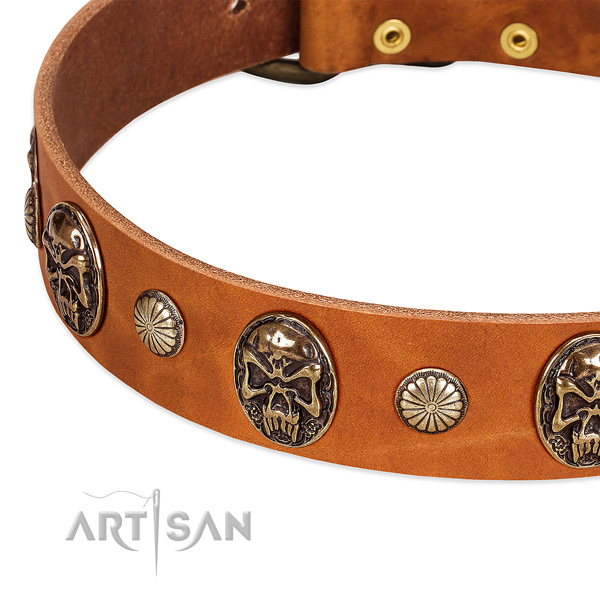 Reliable traditional buckle on natural genuine leather dog collar for your dog