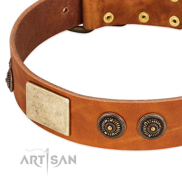 Easy adjustable dog collar created for your beautiful canine