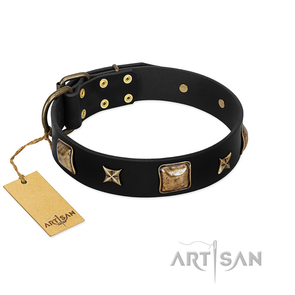Full grain natural leather dog collar of high quality material with impressive decorations