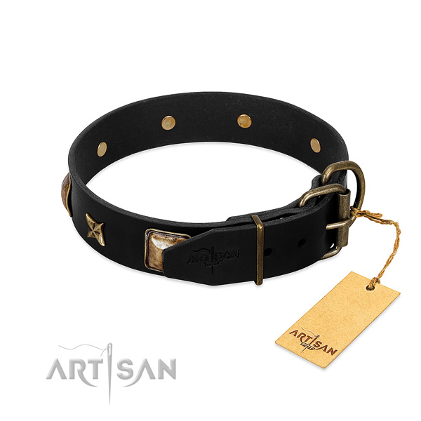 Rust-proof traditional buckle on genuine leather collar for walking your doggie