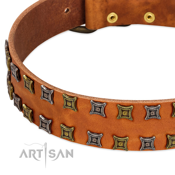 Top rate full grain genuine leather dog collar for your impressive doggie