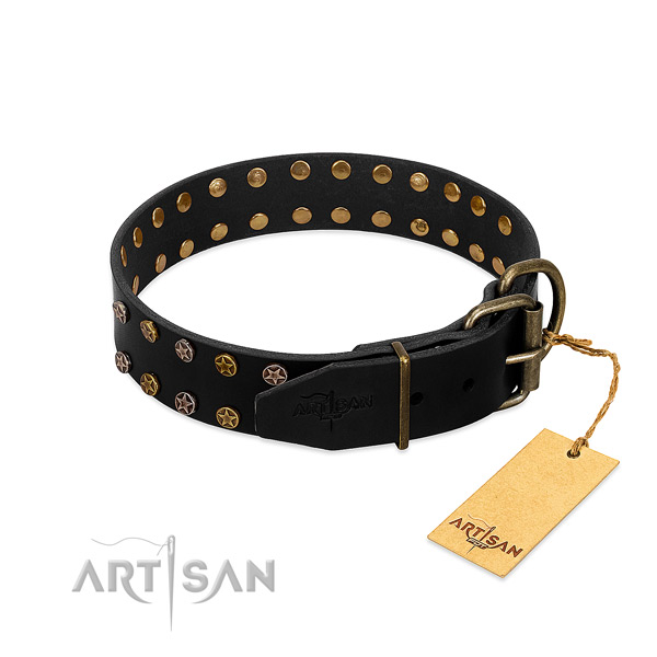 Full grain leather collar with impressive studs for your canine