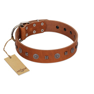 "Sweet Caramel" Designer FDT Artisan Tan Leather Rottweiler Collar "Sweet Caramel" Designer FDT Artisan Tan Leather Rottweiler Collar