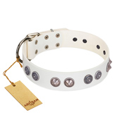 "Ancient Mystery" FDT Artisan Handmade White Leather Rottweiler Collar with Silver-like Fitting "Ancient Mystery" FDT Artisan Handmade White Leather Rottweiler Collar with Silver-like Fitting