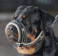 Safe dog muzzle sale