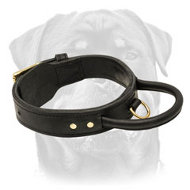 2 Ply Leather Agitation Dog Collar with Super Strong Handle 2 Ply Leather Agitation Dog Collar with Super Strong Handle